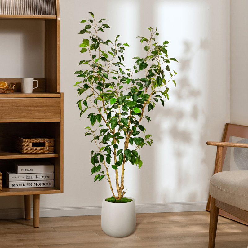 Ficus artificiel en pot décoratif blanc, H 61,5 po x l 25,5 po x P 23,6 po