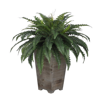 30'' Faux Fern Plant in Wood Planter