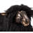 Leon Animals Figurines & Sculptures-123845057-44466003