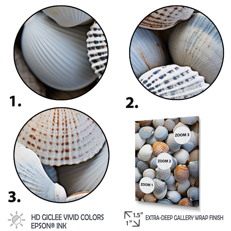 " Beach Photo Seashell Beauty V ", 44" H x 34" W x 1.5" D, Gold Floater Framed