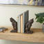 Serre-livres en résine Cole and Grey Frowing Cat