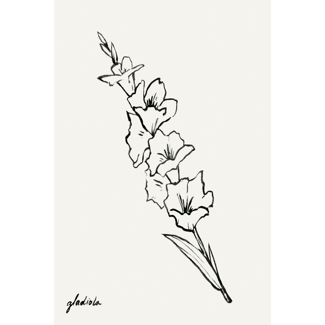 Leinwandbild Gladiola Sketch I von Grace Popp