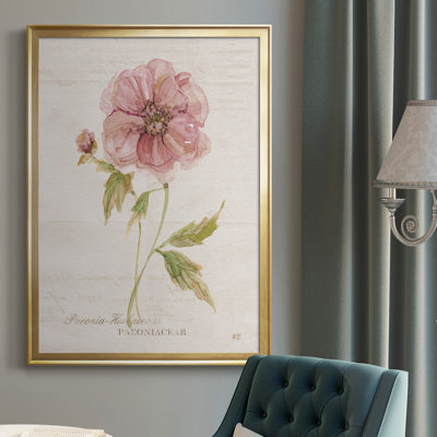 Soft Peony - peinture sur toile encadrée