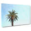Lone Palm Tree - Wrapped Canvas-56633958