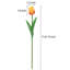 Bouquet de fleurs artificielles tulipe artificielle pour fête de mariage (ensemble de 25)-88160859