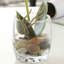 Arrangement floral en soie orchidées artificielles dans un vase