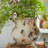 Adelia 11" Metal Table Vase
