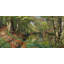 A Spring Day In The Forest by Peder Mørk Mønsted - Wrapped Canvas Print-1333485753