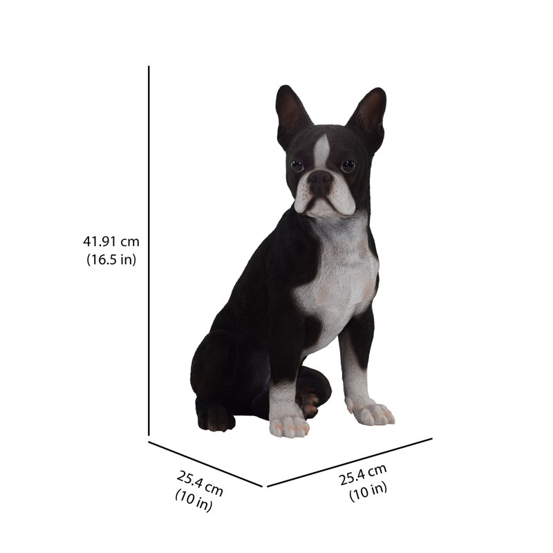 Statue de chien terrier de Boston