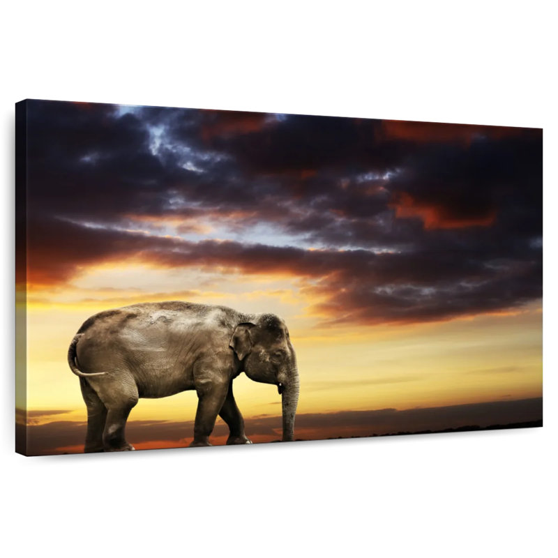 Elephant At Dusk, 26" H x 39" W
