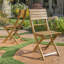 Chaise d'extérieur pliante en bois d'acacia (ensemble de 2), naturel, chaise-916406468-916406470