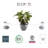 Ecopots Antwerp Indoor/Outdoor Modern Recycled Plastic Flower Pot Planter-86553177-86553172