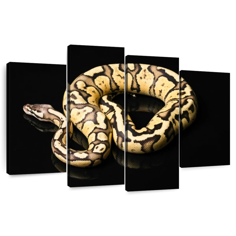 Brampt Female Python Snake, 54'' H x 84'' W