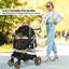 Foldable Pet Stroller