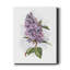Awash in Lilac II - Impression sur toile tendue-1365650104