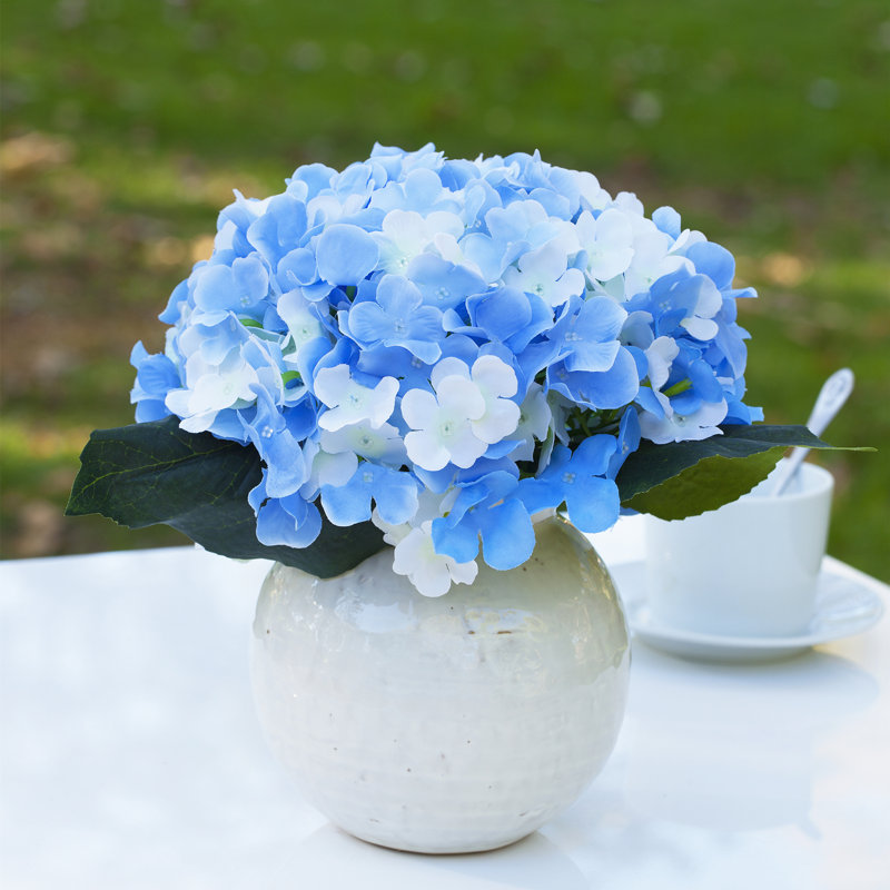 Arrangement floral d'hortensias en pot, Bleu/crème