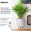 Dotted Style Cylinder Planter with Feet-901821042-901821046