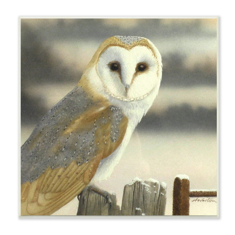 «Barn Owl Gazing Perchée Niveous», art mural de clôture par Alan Weston