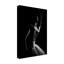 «The Dancer» par paulo Medeiros, impression sur toile sans cadre-1998611442