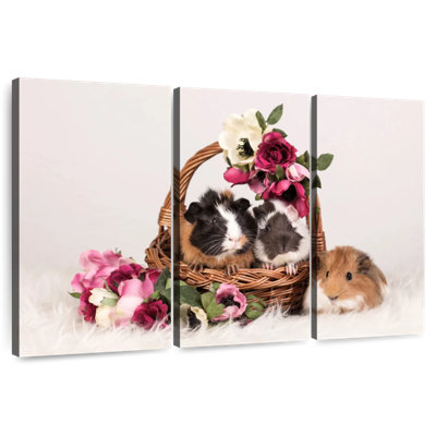 Guinea Pigs Basket