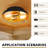 Murell Glass Flush Mount-1060614538