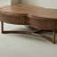Table basse en noyer au design élégant-104098331