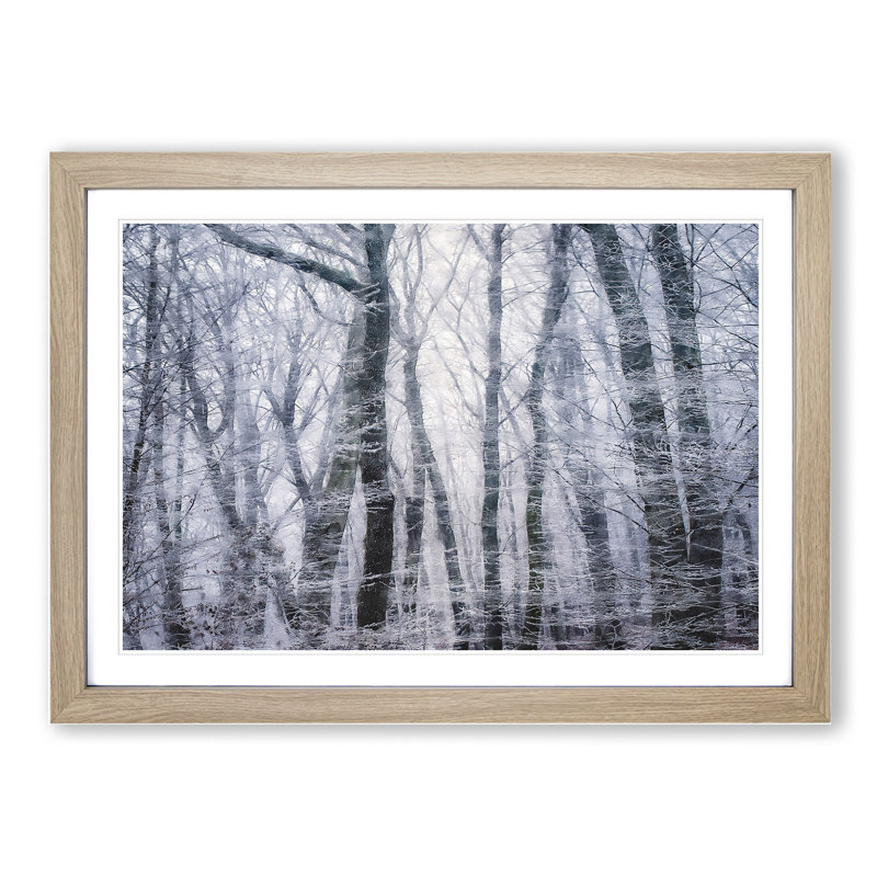 Winter Forest Vol.11 - Picture Frame Painting, 36cm H x 48cm W x 2cm D, Oak Framed