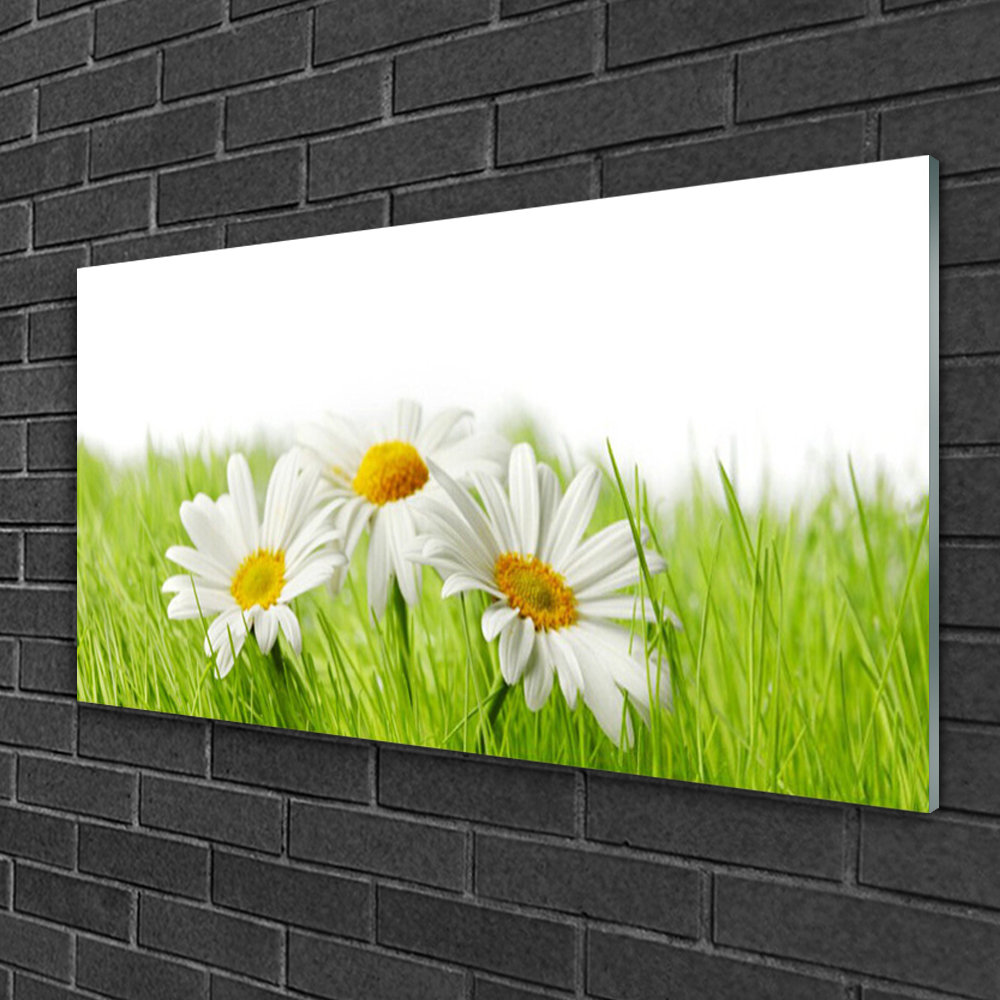 Glasbild Floral Grass Daisies