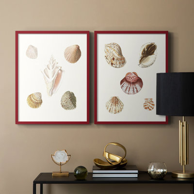 «Pastel Knorr Shells», reproduction encadrée de qualité supérieure - prête à être accrochée - aucun clou requis - aucun clou requis