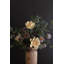 BOTANICA # 3436