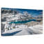 Alvord Peyto Lake In Snow-107849237