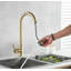 Fairmont Park Nerbone Pull Out Kitchen Faucet