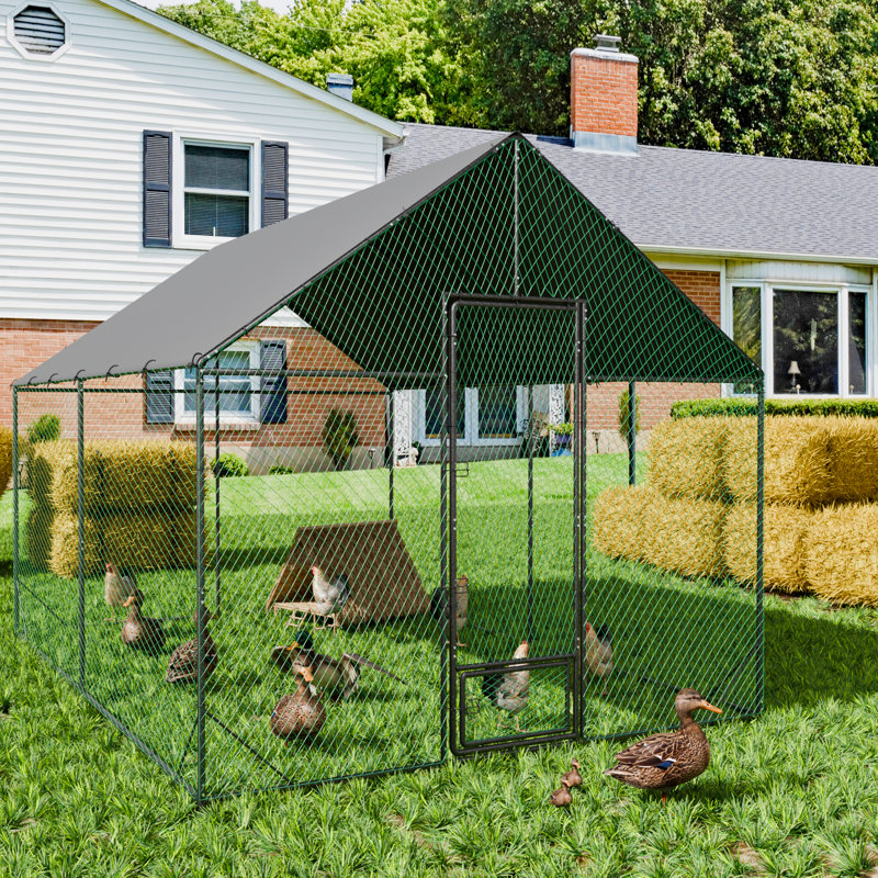 Chicken Run, 276cm H x 300cm W x 405cm D