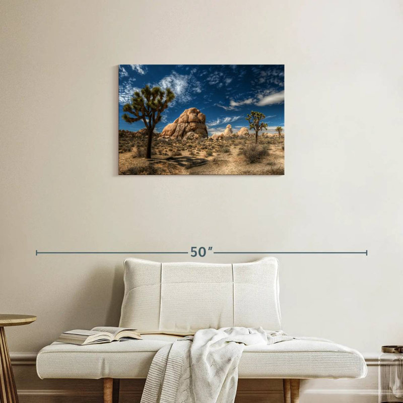 Alvord Joshua Tree Lone Rock Formation, H 20 po x l 30 po