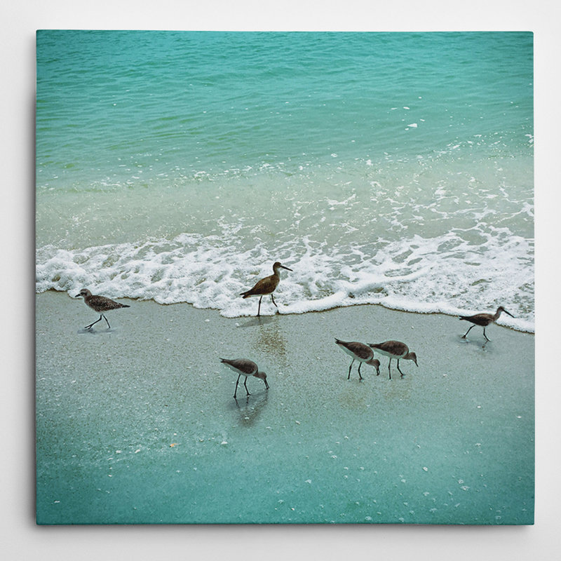 « sandpiper beach party » par nan, reproduction de photo sur toile tendue, H 32 po x l 32 po x P 1,5 po
