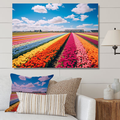 Champ de tulipes colorées II - art mural tulipe