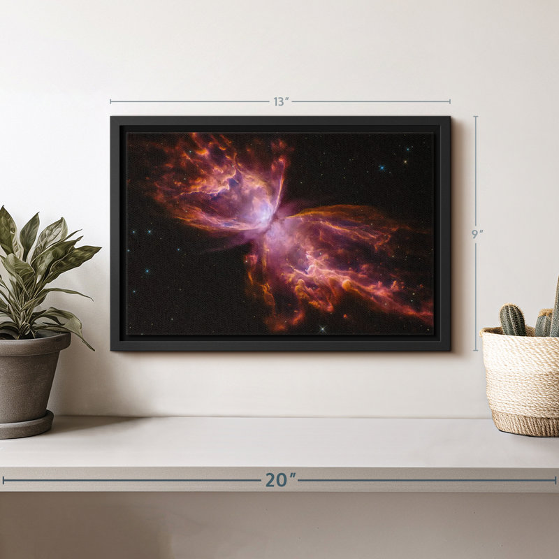 Butterfly Nebula Canvas Print, 9" H x 13" W