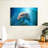 Brampt Dolphin Close Up-108690331