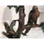 Bronze Parrot Mailbox Sculpture