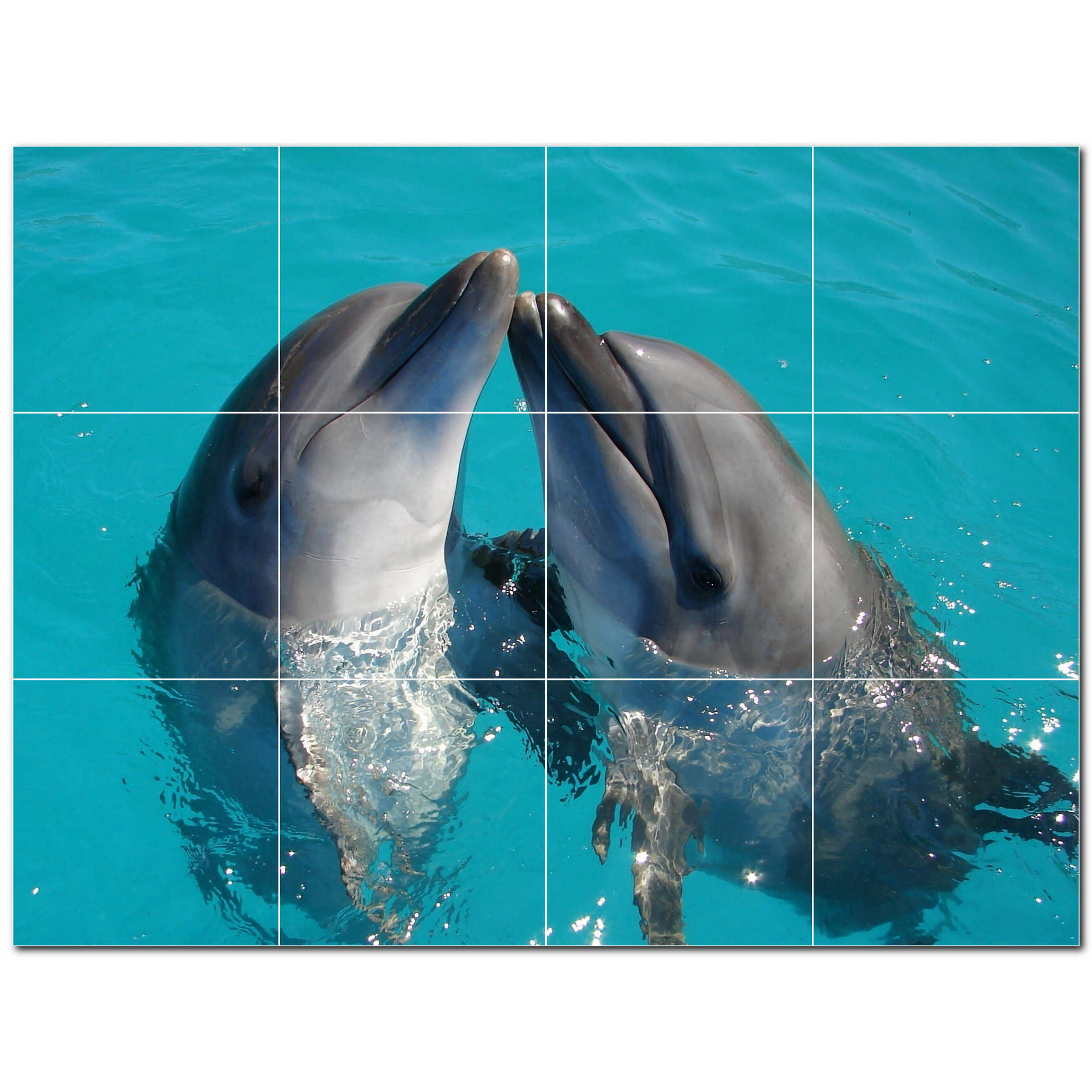 Dolphin Photo 6'' x 6'' Satin Ceramic Decorative