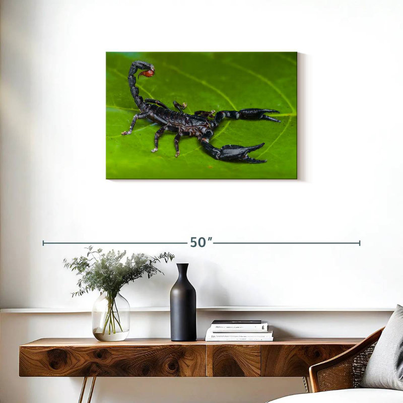 Scorpion de forêt, H 20 po x l 30 po
