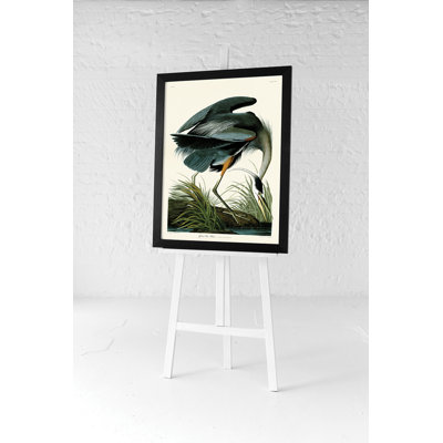 Great Blue Heron by John Audubon - 1 Piece Painting