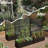 Metal Planter Wall with Trellis, Raised Garden Bed with Privacy Screen, Outdoor Planter Box for Climbing Plants, Vines, Flowers & Vegetables-1826113979-1825876740