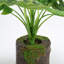 32cm Faux Philodendron Plant in Planter