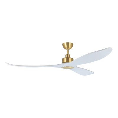 Zionne Ceiling Fan