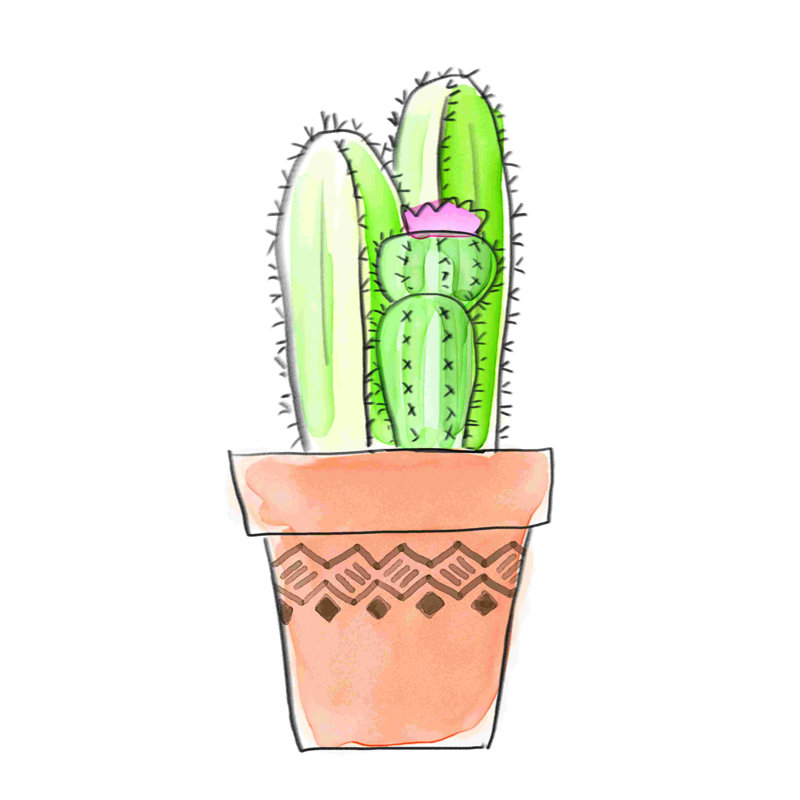 Pot aquarelle cactus, H 36 po x l 24 po