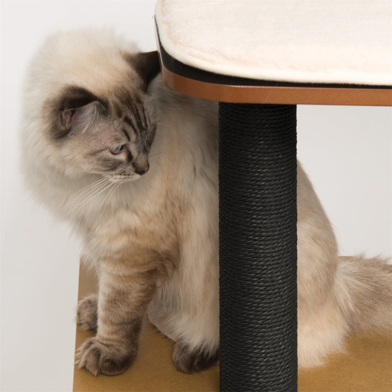 Arbre à chat 48 po Vesper, H 47,8 po x l 22,09 po x L 22,09 po, Noir/naturel