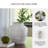 Ashly Vase-25623861
