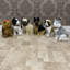 Connlyn Animals Figurines & Sculptures