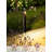 Archway Low Voltage LED Path Light, Arched Anti-Glare Landscape Pathway Light, Oil Rubbed Bronze